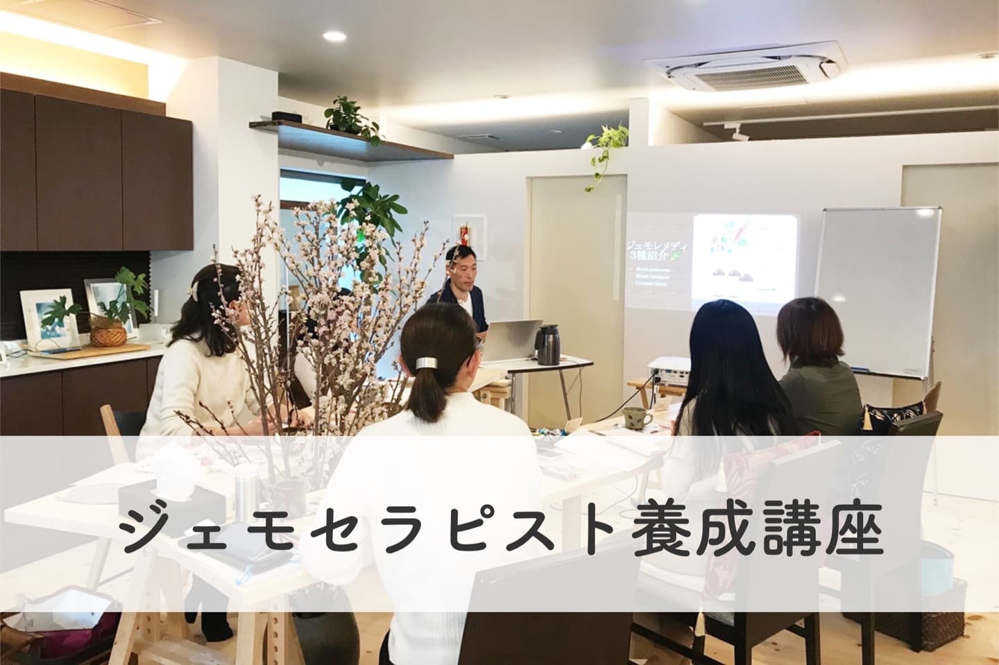 ジェモセラピスト養成講座