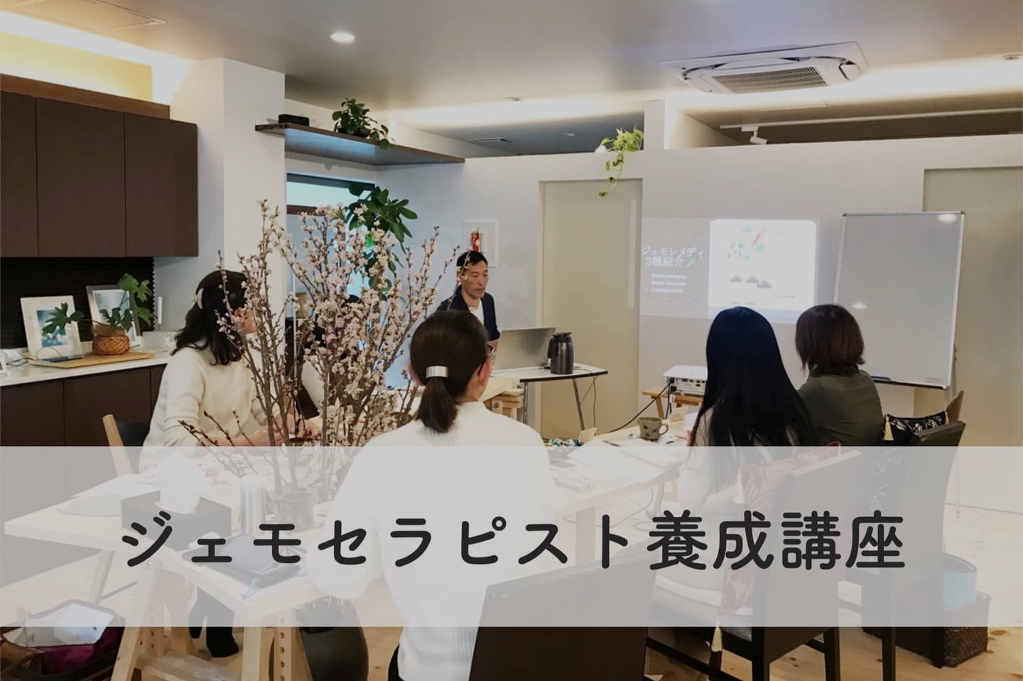ジェモセラピスト養成講座